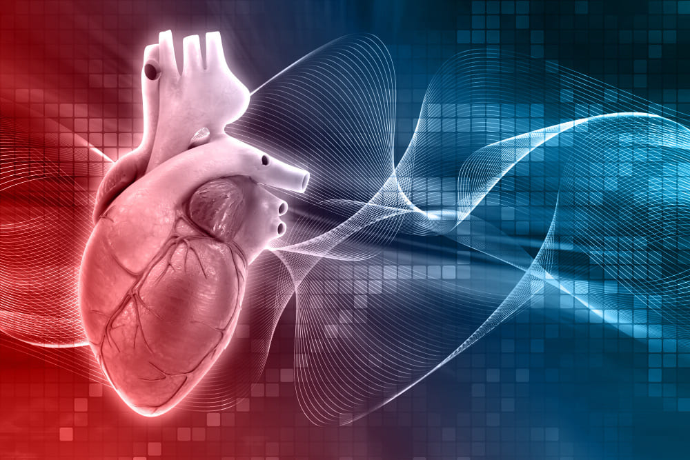 fattori di rischio cardiovascolare