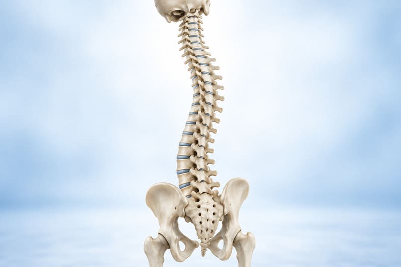 ortopedia della colonna vertebrale